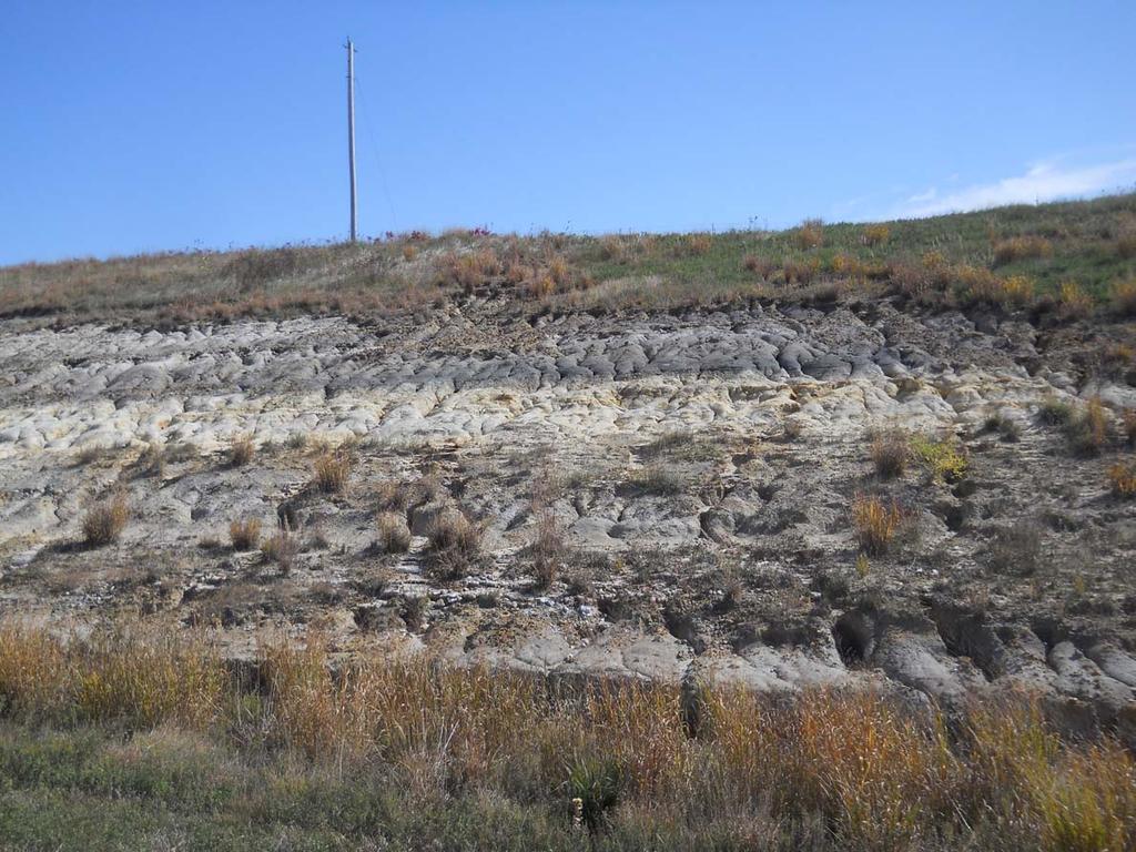 FIGURE 2: Lithology of Outcrop on south side of I-70, Salina County, Kansas UNIT 6 Covered UNIT 5 UNIT 4 UNIT 3 UNIT 2 UNIT 2A UNIT 2 UNIT 1 Outcrop of the Terra Cotta Member of the Dakota Formation