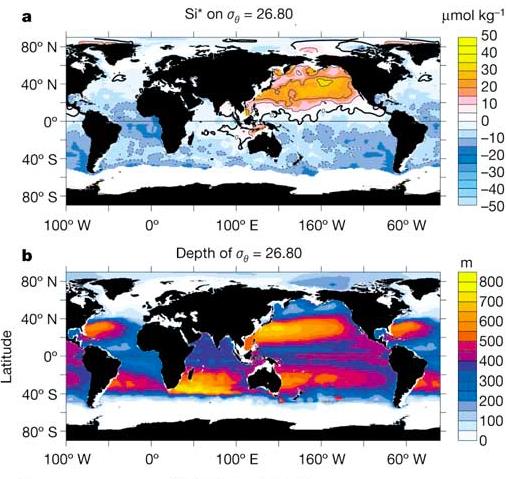 The Southern Ocean (SO) plays a key role in the nutrient supply to the thermocline The Subantarctic Mode Water (SAWM) represents the main conduit of nutrients from the SO Global