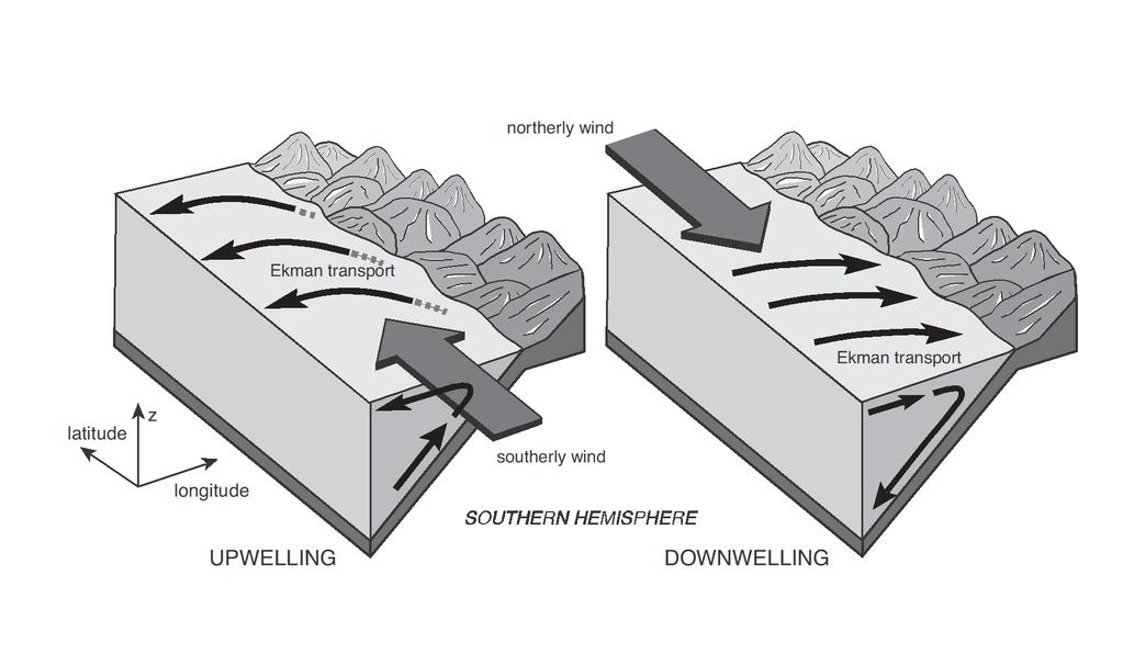 Upwelling and downwelling associated to the Ekman transport