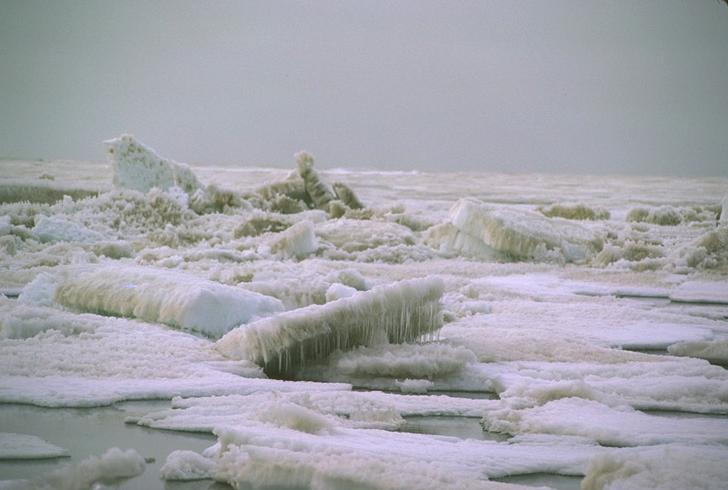Antarctic Bottom Water (AABW) Antarctic Polynya n n n When sea ice freezes, it leaves salt behind