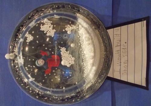 a snow globe which you can