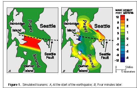 20. Finally, the maps above show the effects of a tsunami generated by motion on the Seattle Fault (color is very helpful here).
