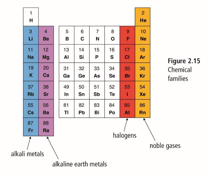 3. HALOGENS- family #17- highly reactive nonmetals Members include: F, Cl, Br, I, At