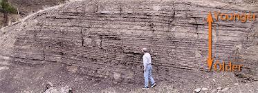 Superposition Just like sedimentary rock, as you move from top to bottom, the layers become older.