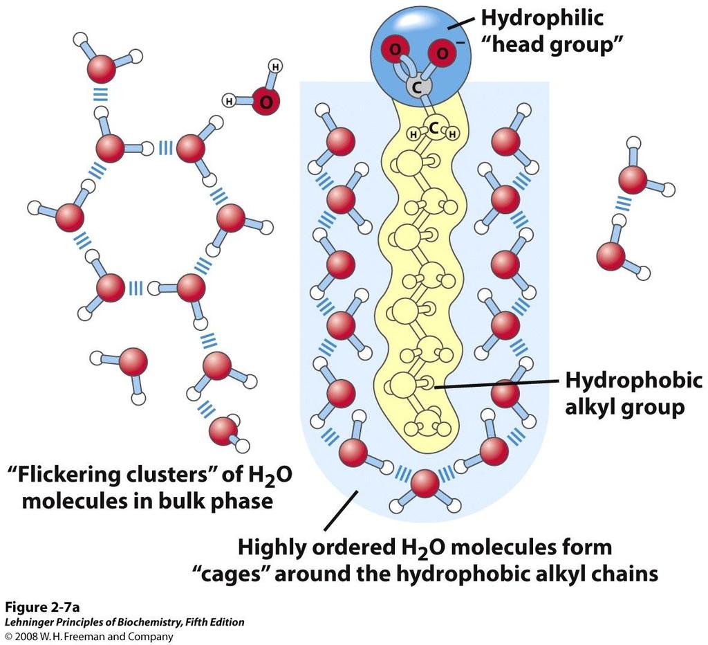 Non-polar substances Water cannot separate non-polar covalent bonds For large molecules