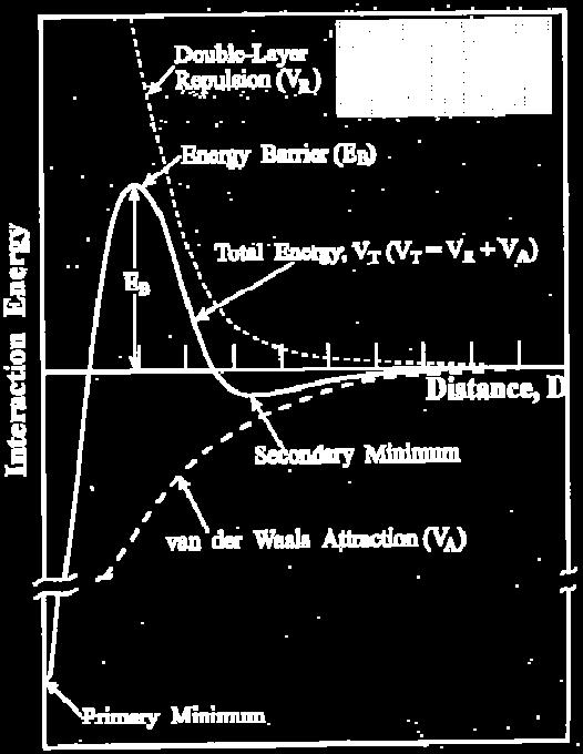 The DLVO theory explains the potential energy curve for the interaction.