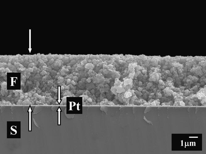 Figure 5-23 SEM image of a cross section of a deposit prepared from 1 gl 1 AT NH 4 solution, containing 10 gl 1 TiO 2, at a deposition voltage of 10 V, F film, S substrate, arrows show film thickness
