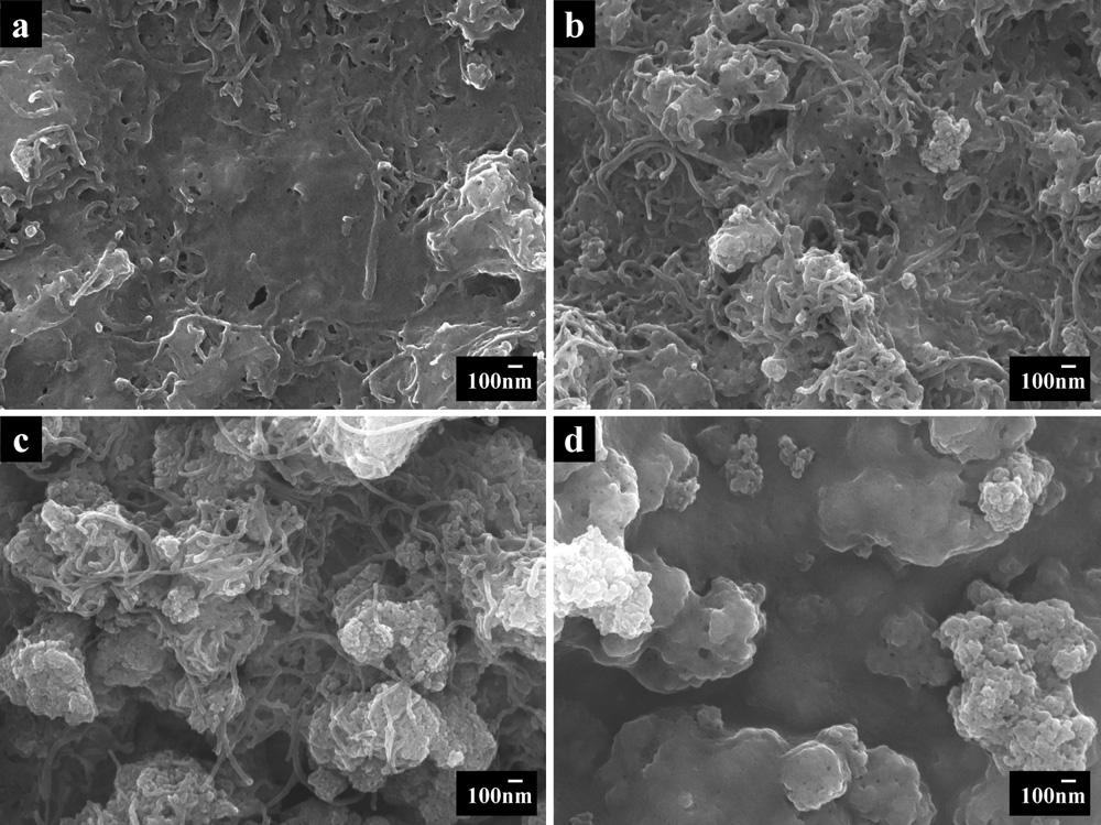 Figure 5-26 SEM images of deposits prepared from 1 gl 1 aqueous solution of AT NH 4, containing (a) 0.5 gl 1 MWCNT and 0.5 gl 1 TiO 2, (b) 0.5 gl 1 MWCNTs and 1 gl 1 TiO 2, (c) 0.