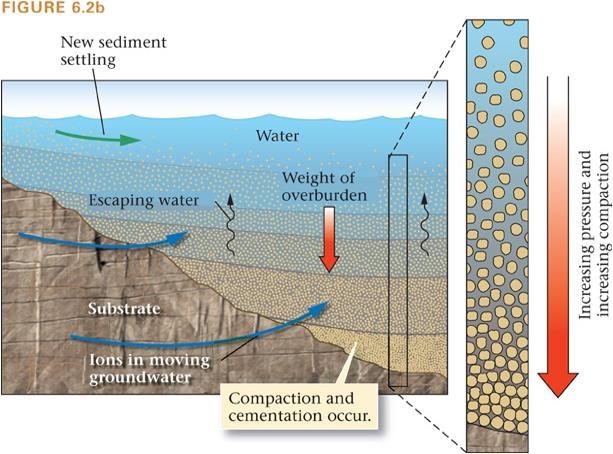 Clastic Sedimentary Rocks Lithification Transforms loose sediment into solid rock. Burial More sediment is added onto previous layers.
