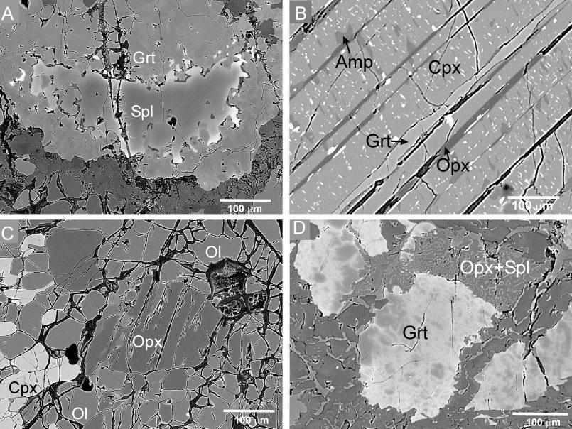 24 M. JANÁK ET AL. Fig. 3. Photomicrographs (backscattered electron images) of garnet peridotites. (a) Spinel (Spl) inclusion in garnet porphyroblast (sample 119-5).