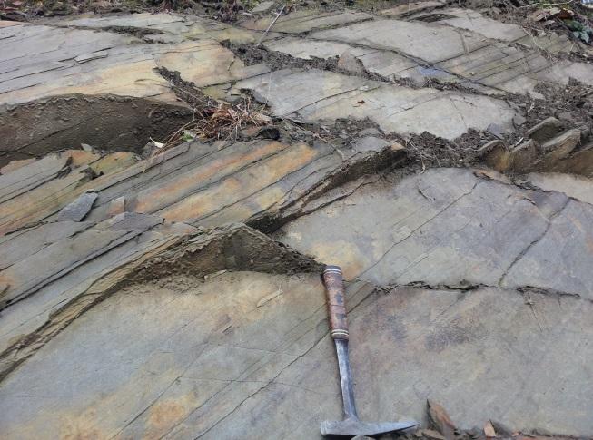 Bands, 20 cm thick, of alternating white limestone, greyish limestone and marls are common for this Triassic reef deposit.