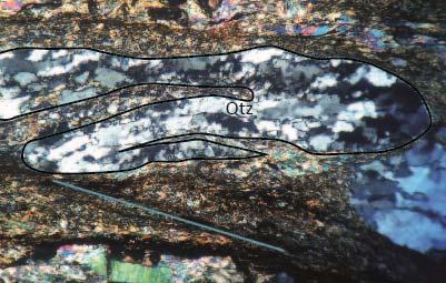 the same general direction and compositional layering with different minerals defining distinct bands.
