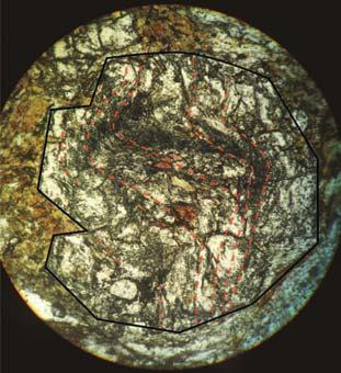 Thus, the marbles represent similar conditions for the peak metamorphism as the gneisses and schists.