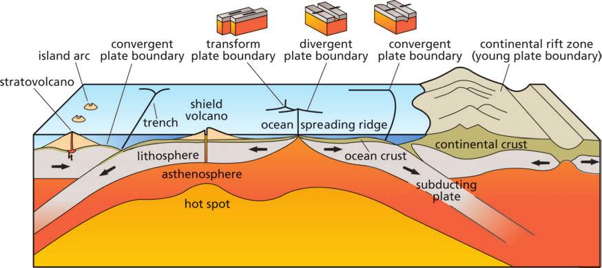 Section 5 Plate Boundary Environments Cross section of two subduction zones. a) Note the two zones where an oceanic plate is being subducted (plunged) under another plate.