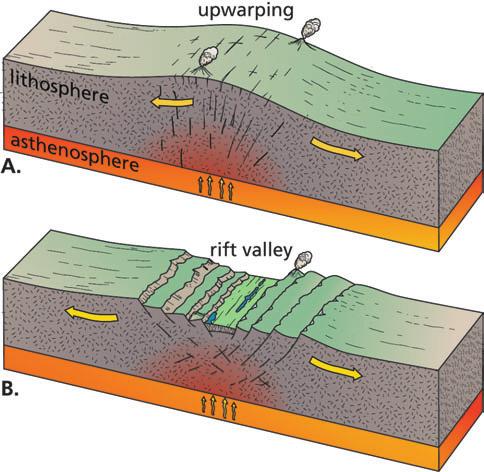 Digging Deeper Geo Words subduction zone: a long, narrow belt in which one plate moves downward into the mantle beneath the edge of another plate at a convergent plate boundary.