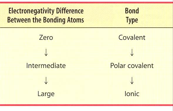 BOND POLARITY & ELECTRONEGATIVITY The more different the electronegativities of the elements forming the bond The larger the electronegativity difference (EN) The more polar the bond formed