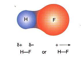 COVALENT COMPOUNDS Covalent bonds occur when electrons are shared between two atoms.