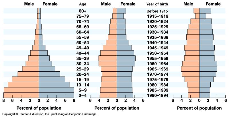 Population Growth Age structure Which diagram