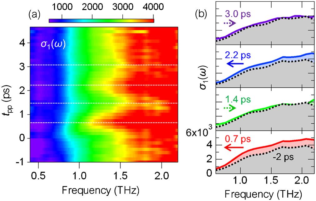 Response of superconductor (w/o phonons Pump-probe conductivity shows signatures of non-adiabatic dynamics ( t, =j( /[i A( ] oscillations in pump-probe response as a function of delay time t