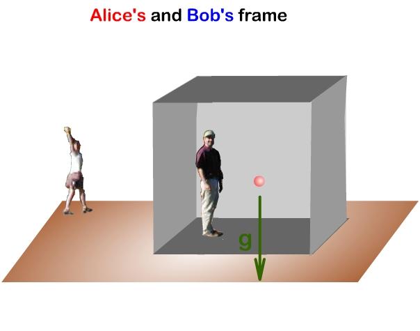Example 2: EPGY Special and General Relativity Bob reaches the ground floor (safely) and is next to Alice, both at respect to each other. Alice observes: The ball to accelerates downwards at g = 9.