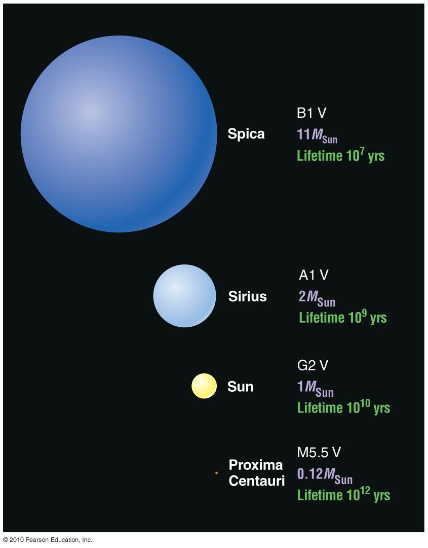 Main-Sequence Star Summary High-Mass Star: High luminosity Short-lived