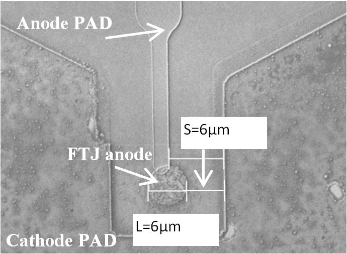 Non switching FTJs SEM of an FTJ with no switching I-V of a non-switching device Good lithography alignment Minimum access length >5µm