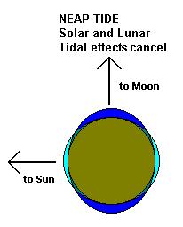 c6). Neap Tides 19 3. Lunar Calendars 20 At First Quarter and Last Quarter Moon, the weaker tidal force of the sun partially cancels out the lunar tide, and you get a really small NEAP tide.