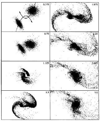 Simulations of Merging Disk Galaxies Double Nuclei Tidal Features Evolution Toward Galaxies with