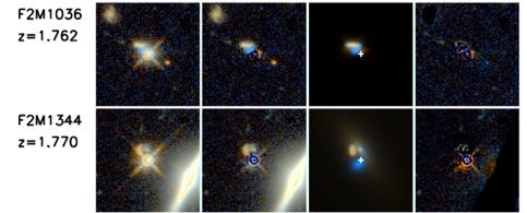 The Host Galaxies of obscured