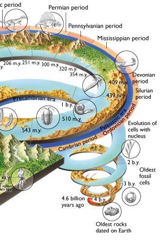 Paleozoic Era Divided into 6 periods: Cambrian period - Age of the Trilobites Ordovician period - First