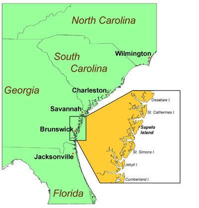 They are Georgia s very own Barrier Islands.