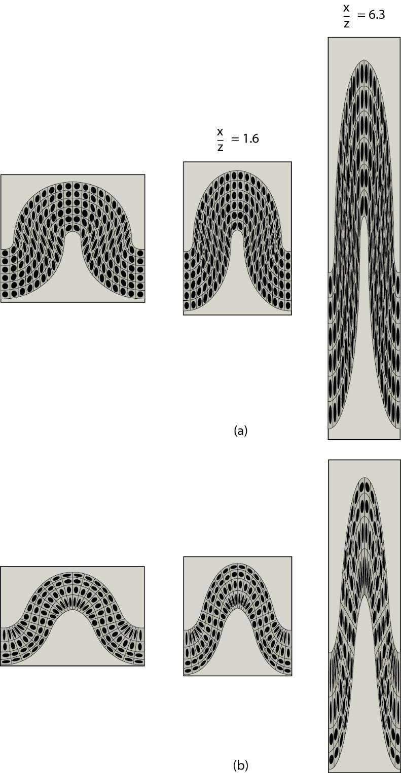 Superimposed Homogeneous Strain and Similar Folds Effect of superimposed homogeneous strain on: (a) flexural fold; (b) neutral-surface fold.