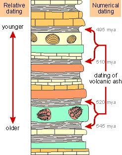 Relative dating - It determines which of the