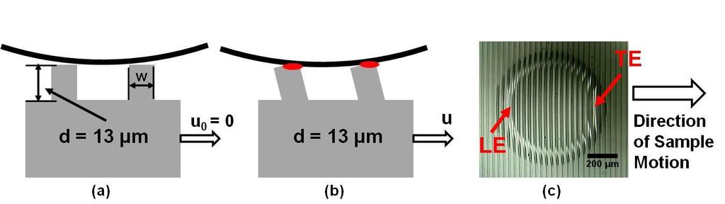 Similar to the previous case (c = 20 µm), the smooth indenter can only make contact on the edges of the short ridges, which leads to a dramatically reduced sliding friction (as shown in Figure 5.10).