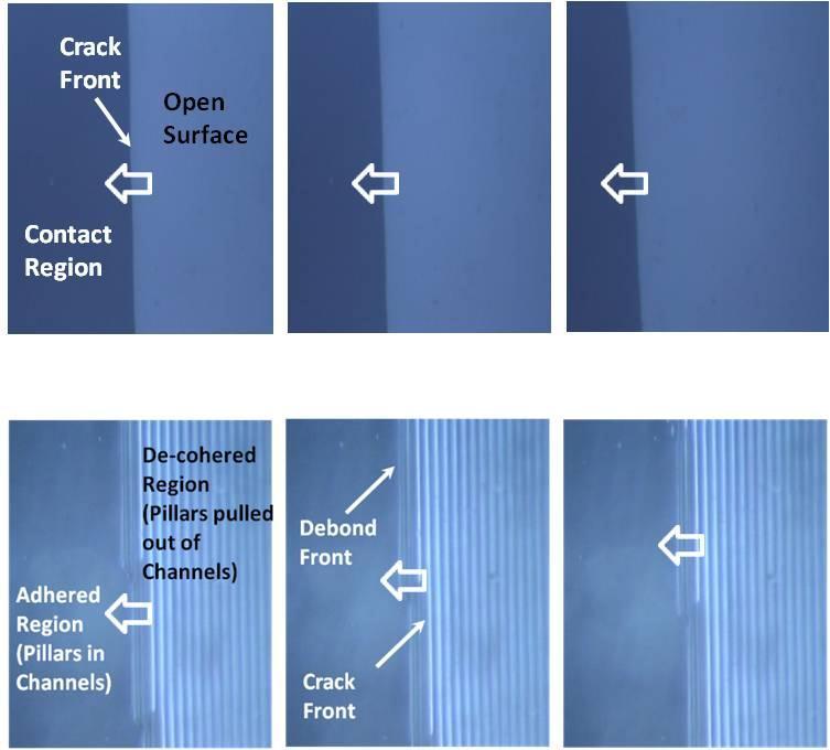 Figure 3.5 Optical micrographs of the region behind and ahead of the crack front. (a) the growth of a crack at the interface between two flat surfaces.