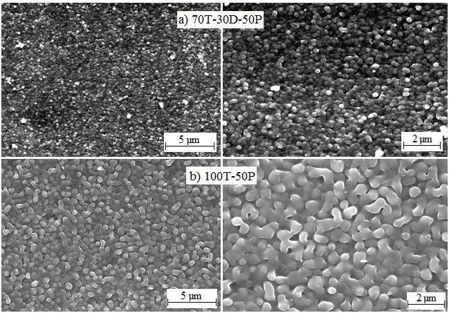 Chapter 6 Addition of a Thermoplastic Toughener show small spherical domains, ~0.3 µm in diameter, more similar in structure to 100T-10P.