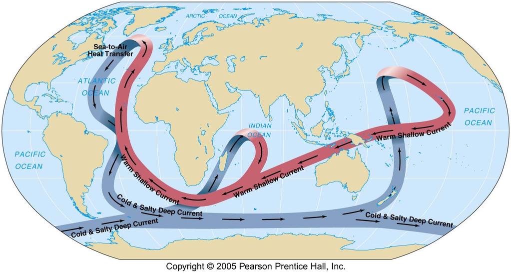 recall ocean conveyor belt deep circulation dominated by a continuous