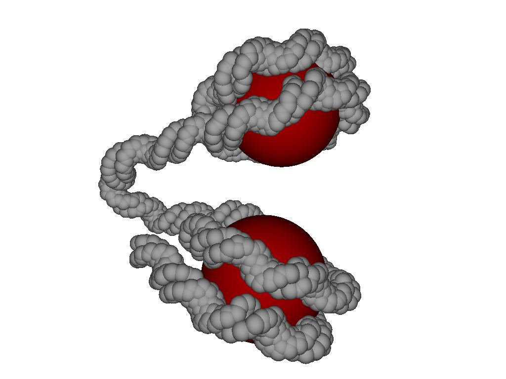40 Results (a) (b) (c) (d) Figure 3.6: The four created dinucleosomes.