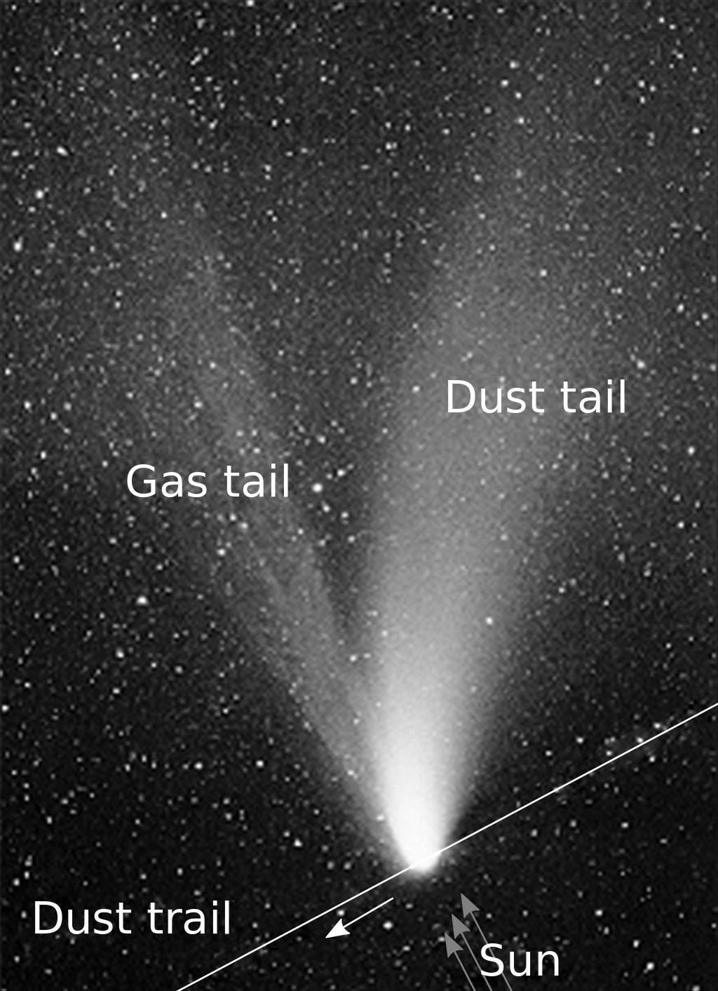 Comet Tail The streams of dust and gas each form their own distinct tail, pointing in slightly different directions.