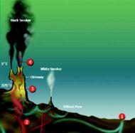 Hydrothermal vents: seawater migrates through cracks in ocean crust Black smoker Transform