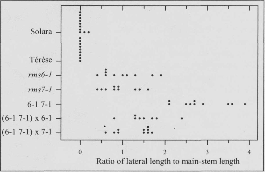 under diverse conditions ranging from a long daylength of 24 or 18 h to a shorter daylength of 14 h (Fig. 4, Table 1).