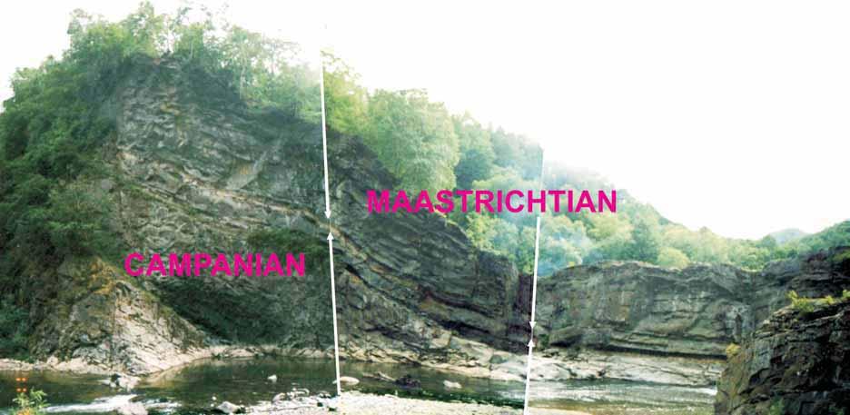 CRETACEOUS OF SAKHALIN 283 The Coniacian/Santonian boundary has been placed within Bykov Mudstone Member 8, K 2 bk 8, the Santonian- /Campanian boundary within Bykov mudstone Member 10 (K 2 bk 10 )