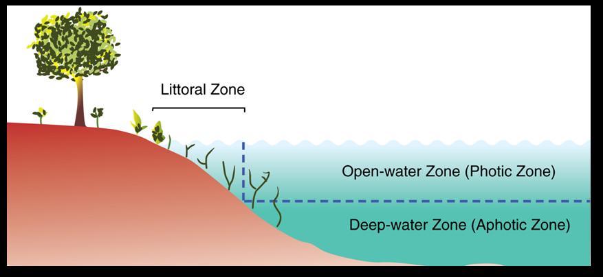 Figure 1: A deep lake depicting a Horizontal Zonation Figure 2: A mountain