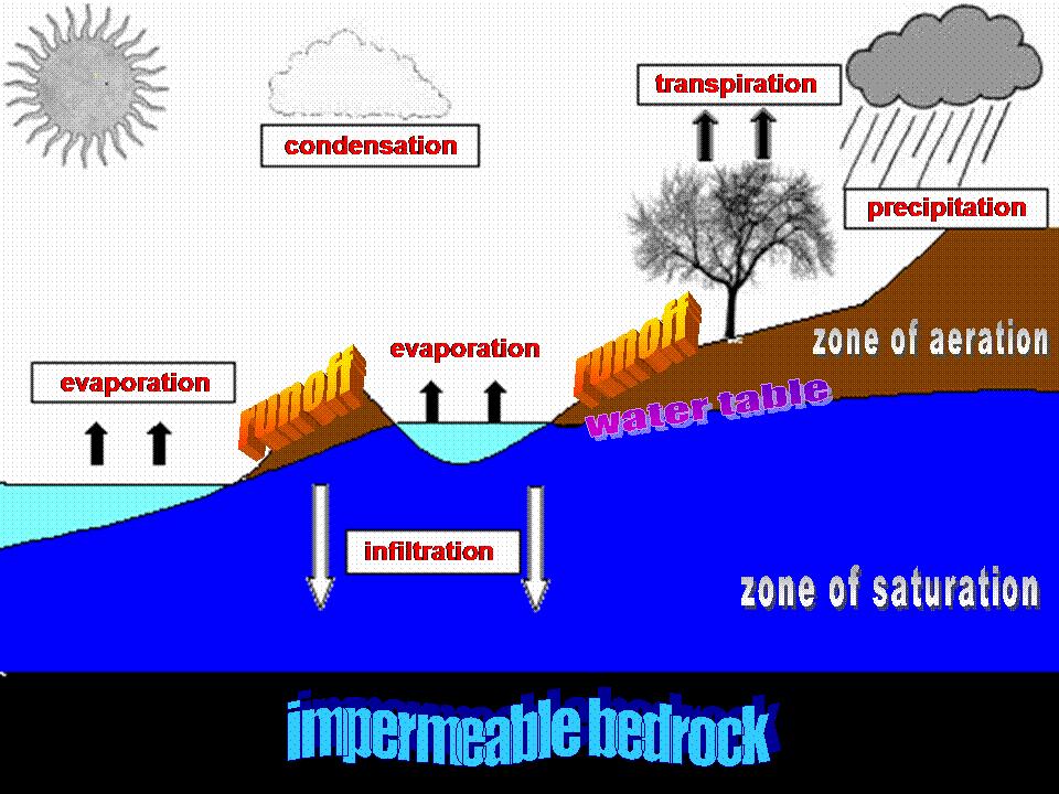 The water cycle is also called the hydrological cycle. Water that is stored in the oceans and lakes can evaporate and become a gas.