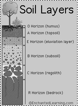 When the bedrock weathers, soil is created. Scientists separate this soil into horizons.