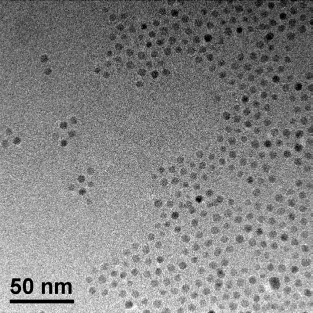 Fe 3 O 4 nanoparticles layers / Si 3 N 4