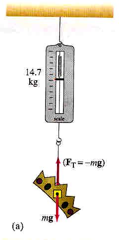 Archimedes Principle : Apparent weight in a fluid Weigh in air, then weigh in water. From this, and knowing ρ water you can get object s ρ.