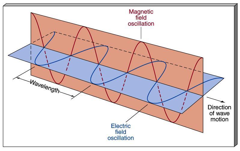 An electromagnetic wave is composed of two oscillating