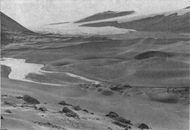 No.3 SELBY et at. - EOLIAN DEPOSITS, ANTARCTICA 551 FIG. 6-Transverse dunes of the Victoria Valley; looking eastwards towards the Victoria Lower Glacier.