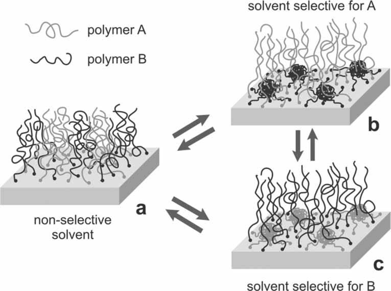 Responsive Polymer Brushes 403 pressure of the trapped counter-ions and the stretching entropy of the chains (so called osmotic brush regime).